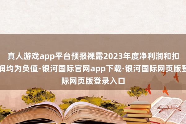 真人游戏app平台预报裸露2023年度净利润和扣非净利润均为负值-银河国际官网app下载·银河国际网页版登录入口